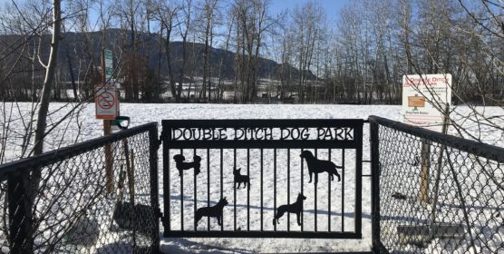 Double Ditch Dog Park