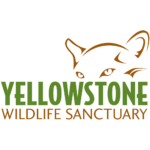 Yellowstone Wildlife Sanctuary